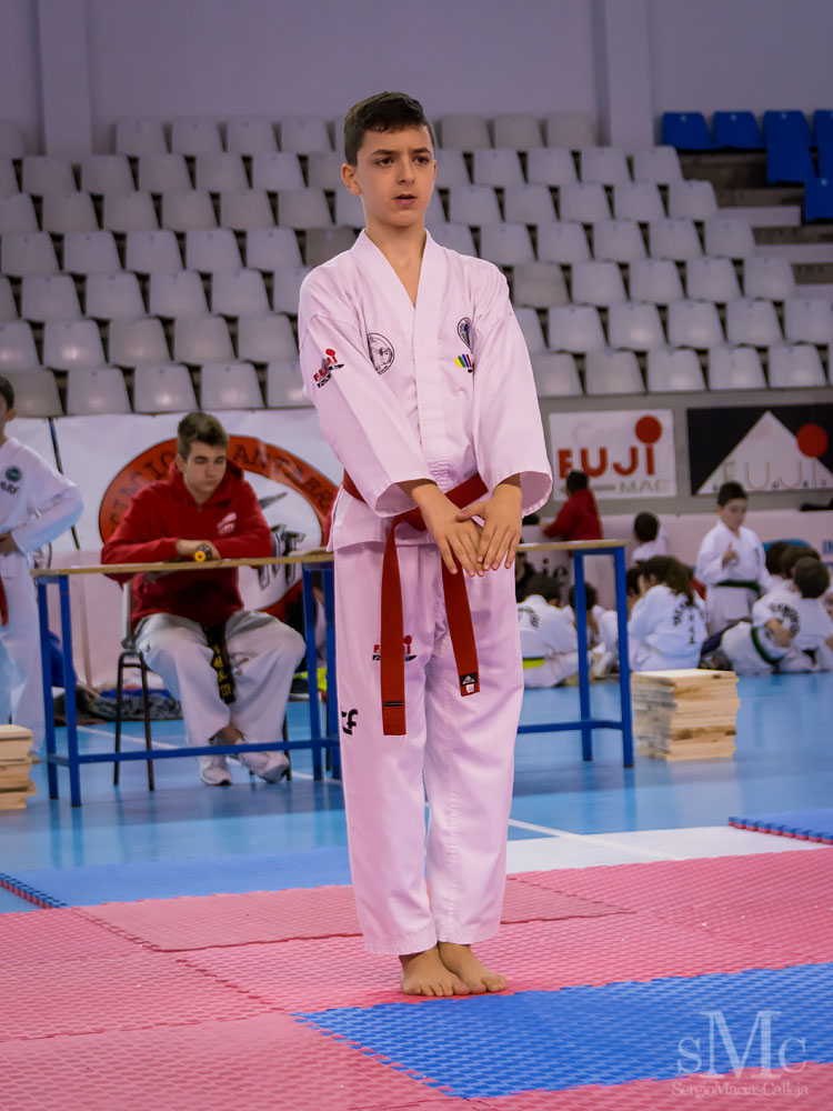 TAEKWONDO CAMPEONATO PAREJAS ABRIL 2018_2026.jpg